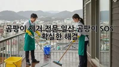 곰팡이 제거 전문, 일산 곰팡이 SOS🚨 확실한 해결!