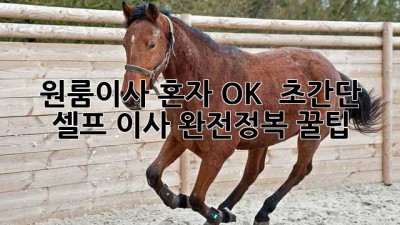 원룸이사 혼자 OK! 📦 초간단 셀프 이사 완전정복 꿀팁 🍯