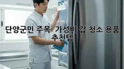단양군민 주목! ✨ 가성비 갑 청소 용품 추천템